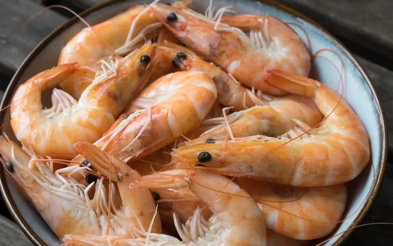 天ぷら専門店でご飯おかわり無料。まきの系列のランチが意外とコスパ最強だった